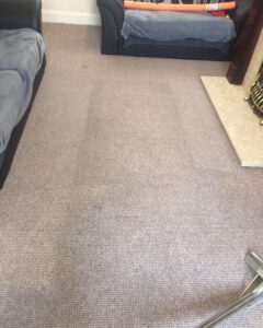 carpet cleaning