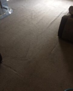 carpet cleaning