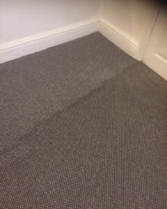 carpet cleaning