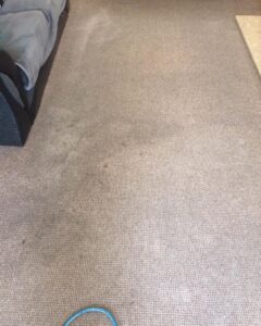 carpet cleaning